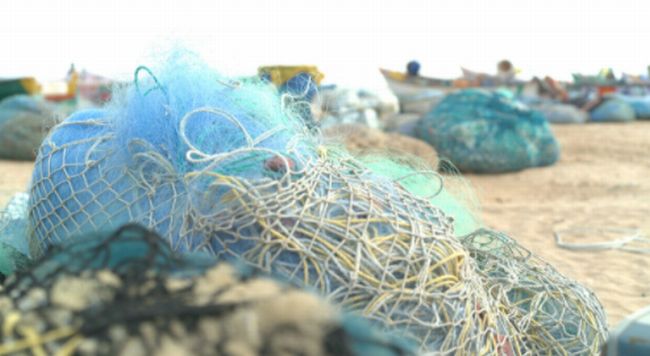 廃棄された漁網